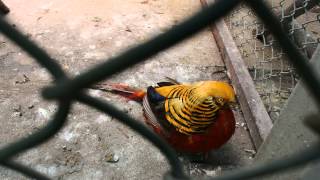 물향기수목원 (Mulhyanggi Arboretum) …