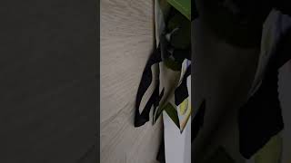 꽁패.한스마카우.앵무새.쇼핑백 놀이.2024.4.9