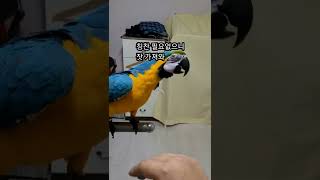 칭찬은 필요없는 루카 #shorts #청금강