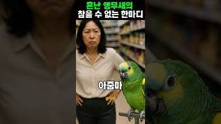 앵무새의 참을 수 없는 한마디