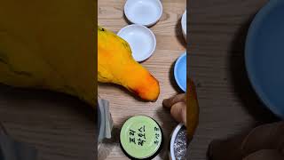 #birds #parrot #birdslover #cute #pets #썬코뉴어  밥상머리교육! 흘리면....어떻게해야하지?ㅎㅎ