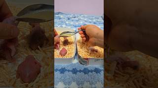 방금 부화한 청금강 첫째 앵무새와 새벽에 부화한 뉴기니아 둘째 앵무새예요