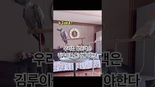 문 열어서 싸인도 해줄 수 있는 앵무새