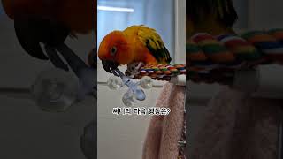 써니야 엄마의 예상은 빗나가지 않아!  #썬코뉴어 #p…