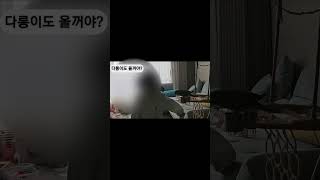 한스마카우 아롱이 다롱이 #parrot #앵무새 #bi…