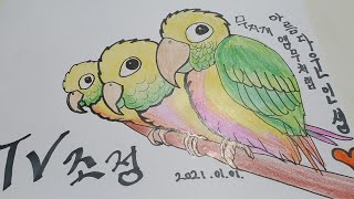 Rainbow parrot drawing 무지개 앵무새…