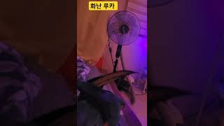 화난 루카 #앵무새 #parrot #청금강 #청금강앵무…