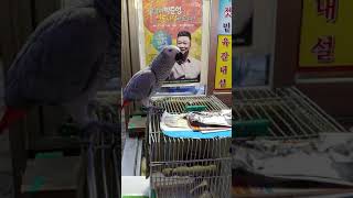 앵무새  말합니다  ..안녕하세요 ^@^~