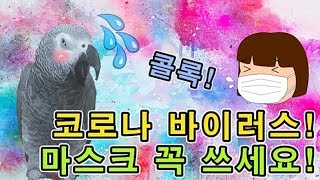 [수다쟁이 회색앵무 코코] EP32. 코로나 바이러스!…