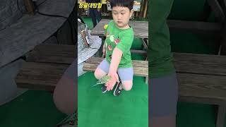 #앵무새#새체험#청금강앵무#앵무새밥주기#동물체험