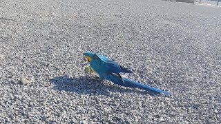 루카랑 산책 중!!