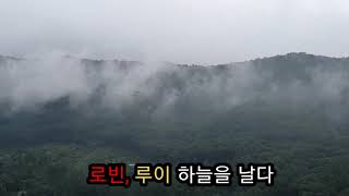 #마카우자유비행 마음껏 하늘을 나는 모습 멋있다