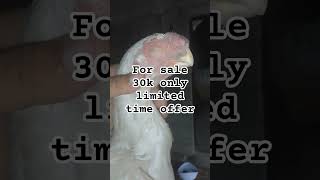 for sale 30k only limited time offer