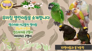 10마리 앵린이들과의 동거동락