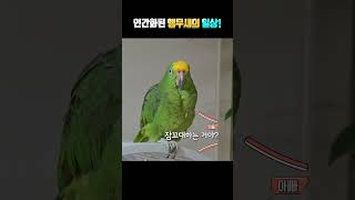 개~졸리다 ㅎㅎ너무 웃겨서 한번 더~갑니다