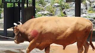 2024년 5월 18일 토요일 제 3경기 (홍)빅매치v…