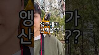 오늘도 유리랑 동네 순찰 완료!