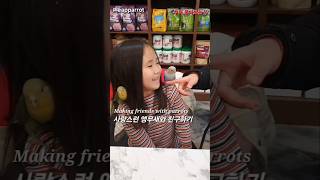 앵무새는 내 친구#앵무새카페 •리프패럿#코뉴어#모란앵무