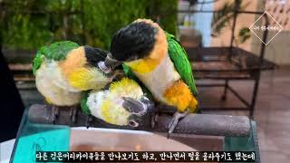 나 완전히 새됐어!