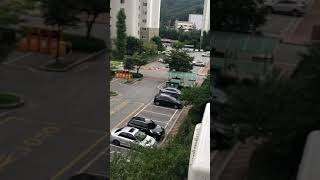 한국 베란다 청금강 자유비행