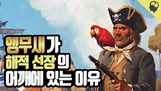 앵무새는 왜 해적의 상징이 되었을까?