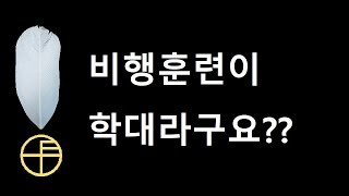 자유비행을 비판하는 사람들