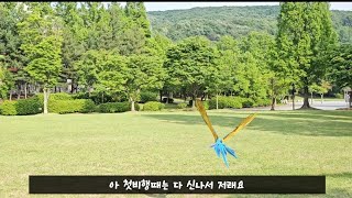 청금강 비행 특징을 알아보자!