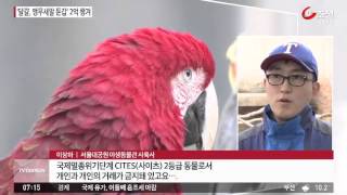 달걀을 앵무새알로 속여 팔아 2억 챙겨