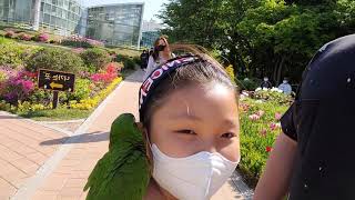 꽁패.부천생태공원.튤립.한스마카우.2021.5.3