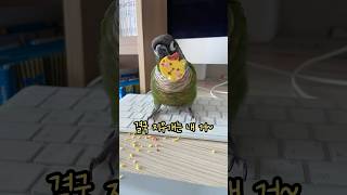 책상 위 범죄 현장, 범인은 바로…