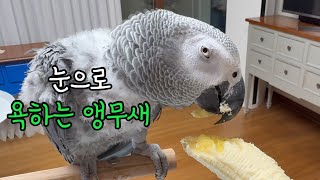 김루이는 왜 역정을 내셨을까요? 