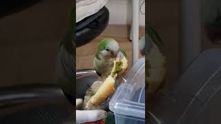 맛있쪄♡♡맛있쪄~~