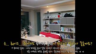 퀘이커 앵무새 자유비행은..꿈일까?