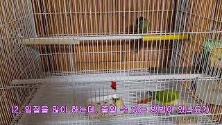 코뉴어 집사의 고민