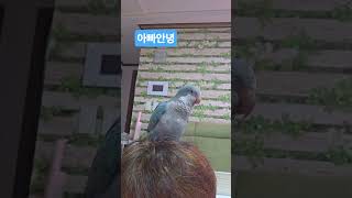 #퀘이커말배우기