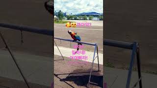 정말 예쁘지요?♥♥♥♥♥