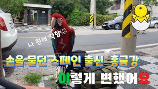 손을 무는 앵무새 핸들링 결과.