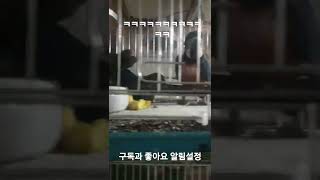 청금강 머리 끄덕끄덕 하는거 뭐임 -ㅋㅋㅋㅋ-#앵무애 …