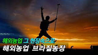 해외농업 &amp; 지평선