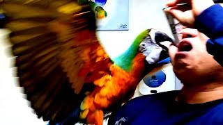 반격의 서막 (feat. 마르코의 복수)