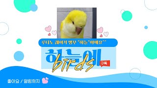 [하늘] 건조대 특훈 ^^ #하늘에 # 퀘이커 앵무#birds # 구독 좋아요  