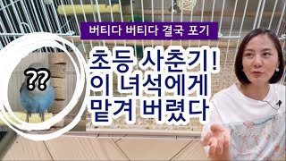 초등사춘기 극복기! 요 녀석이 들어오고 집안 공기가 달…