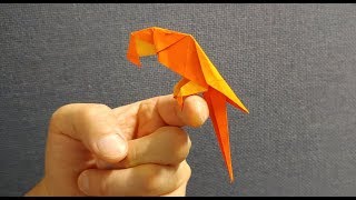 Origami Parrot 너무너무 귀여운 앵무새 종이접기, 앵무새 접는 법, 새종이접기