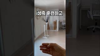 앵무새가 가족이 된 지 3년  회색앵무 잠바 생일