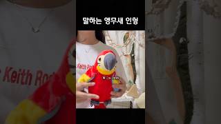 말하는 앵무새 인형 후기