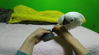 cockatoo 코카투 발톱갈기
