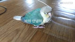 코뉴어 보고 힐링하고 가세요~