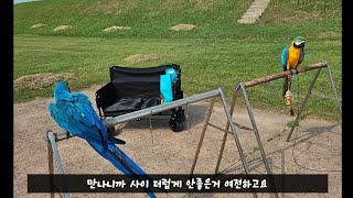 청금강이 분양가면 어떻게 될까