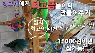 앵무새 놀이터 만들기 15000원이면 &#39;쌉가능&…