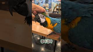 착한 #청금강 카라 좋아좋아